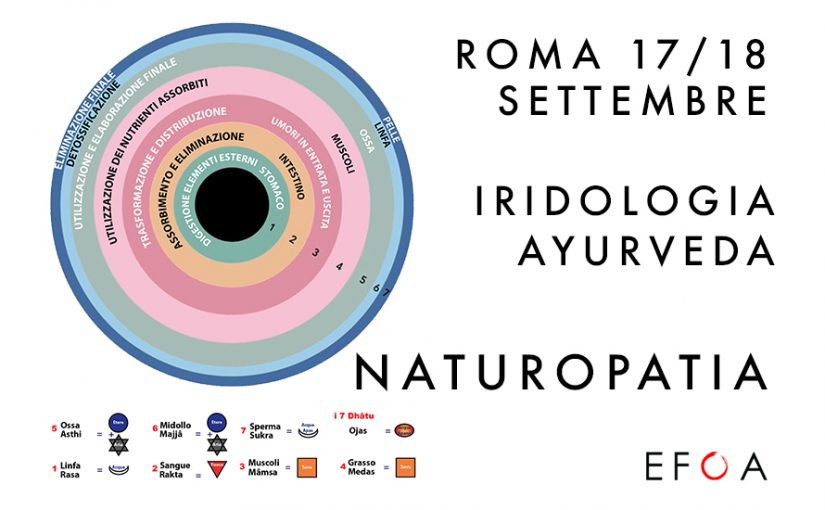 Il Sistema Umorale nell’Ayurveda e nell’Iridologia Olistica